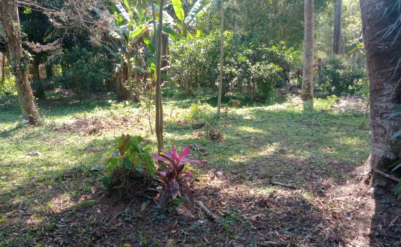 VENDO ESTE SÍTIO EM CINCO LAGOS - 