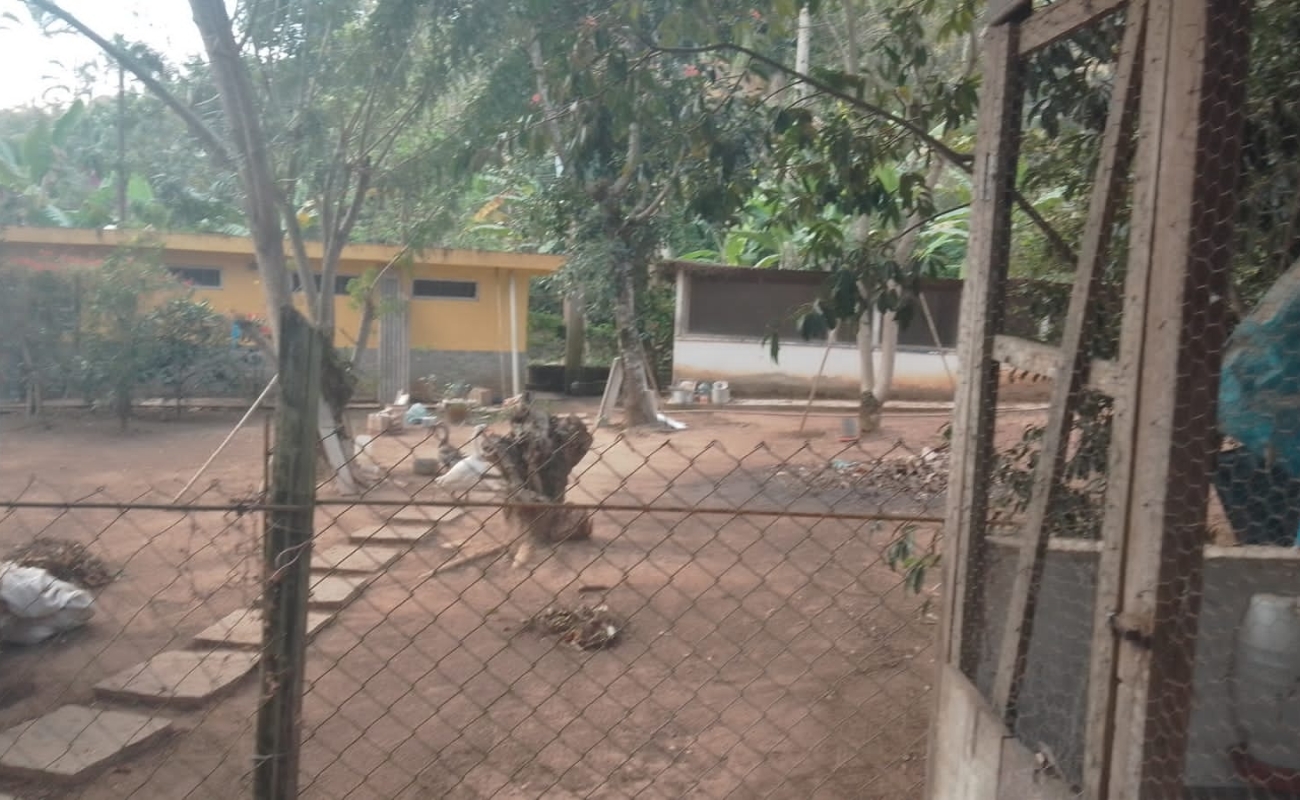 VENDO ESTE SÍTIO EM CINCO LAGOS - 