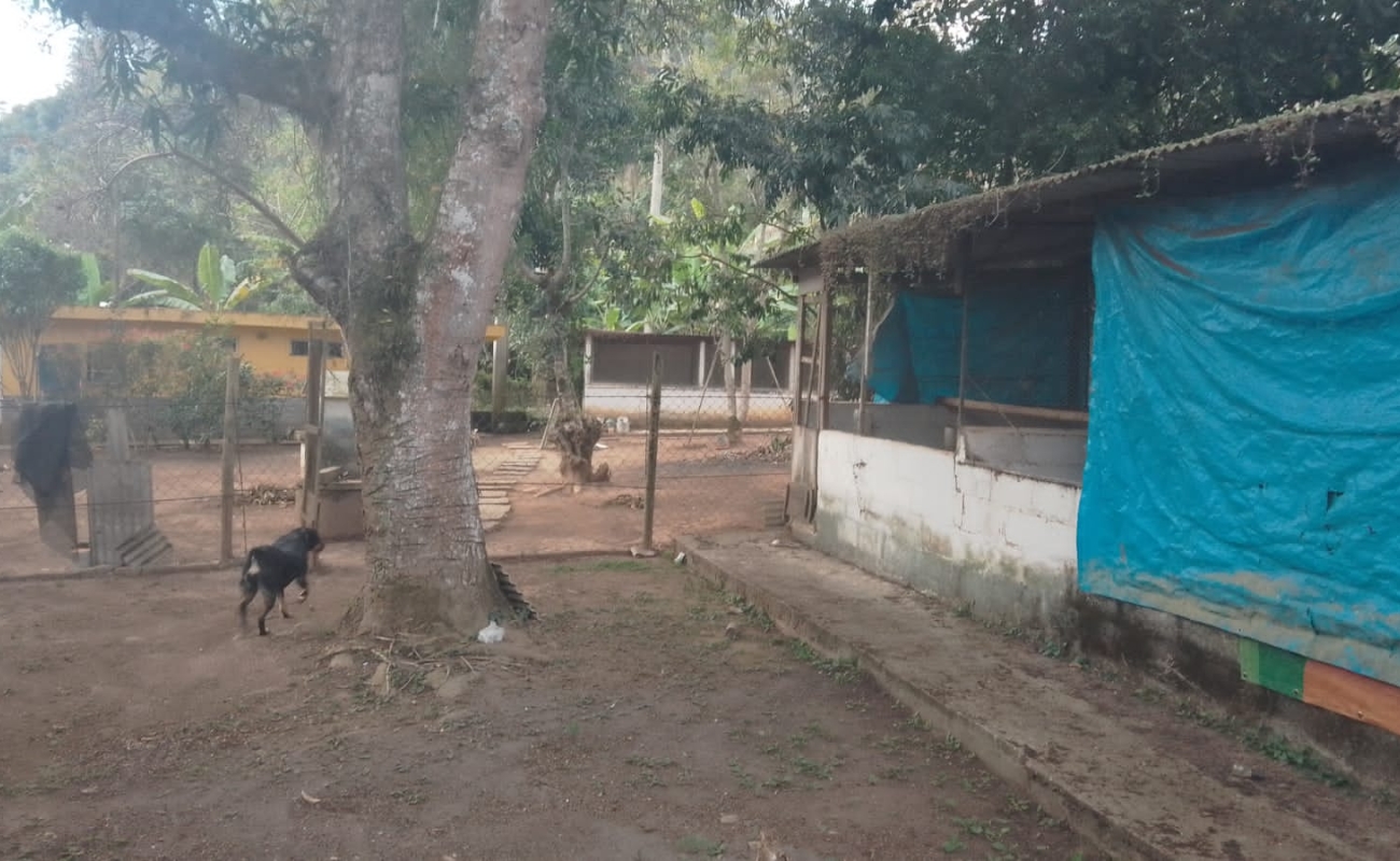 VENDO ESTE SÍTIO EM CINCO LAGOS - 