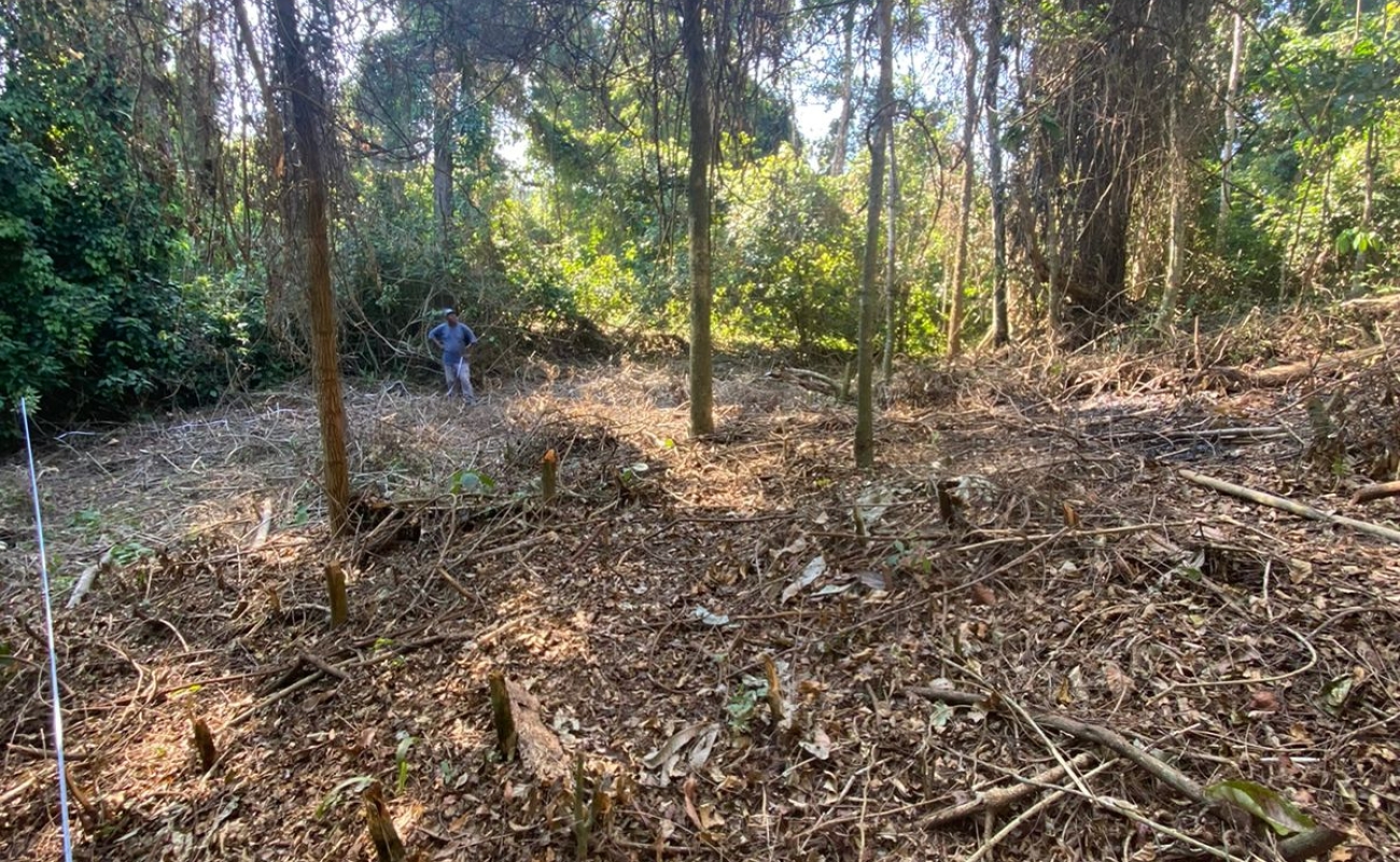 VENDO ESTE TERRENO EM MENDES - 