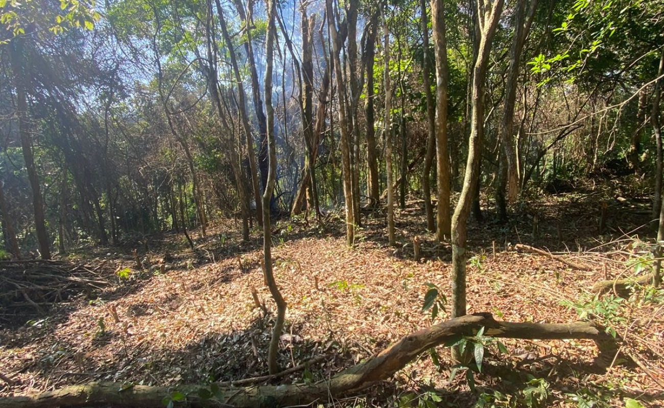 VENDO ESTE TERRENO EM MENDES - 