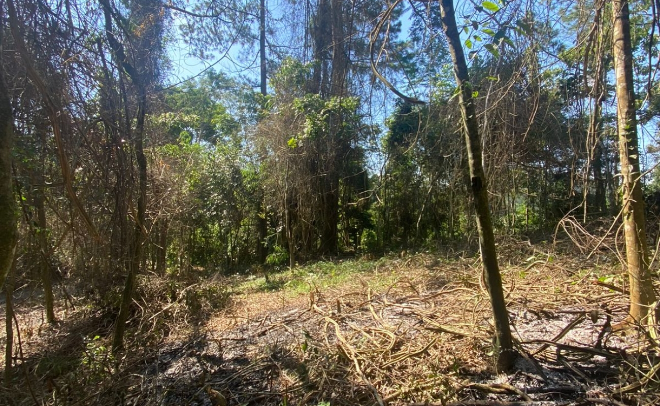 VENDO ESTE TERRENO EM MENDES - 