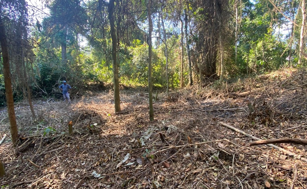VENDO ESTE TERRENO EM MENDES - 