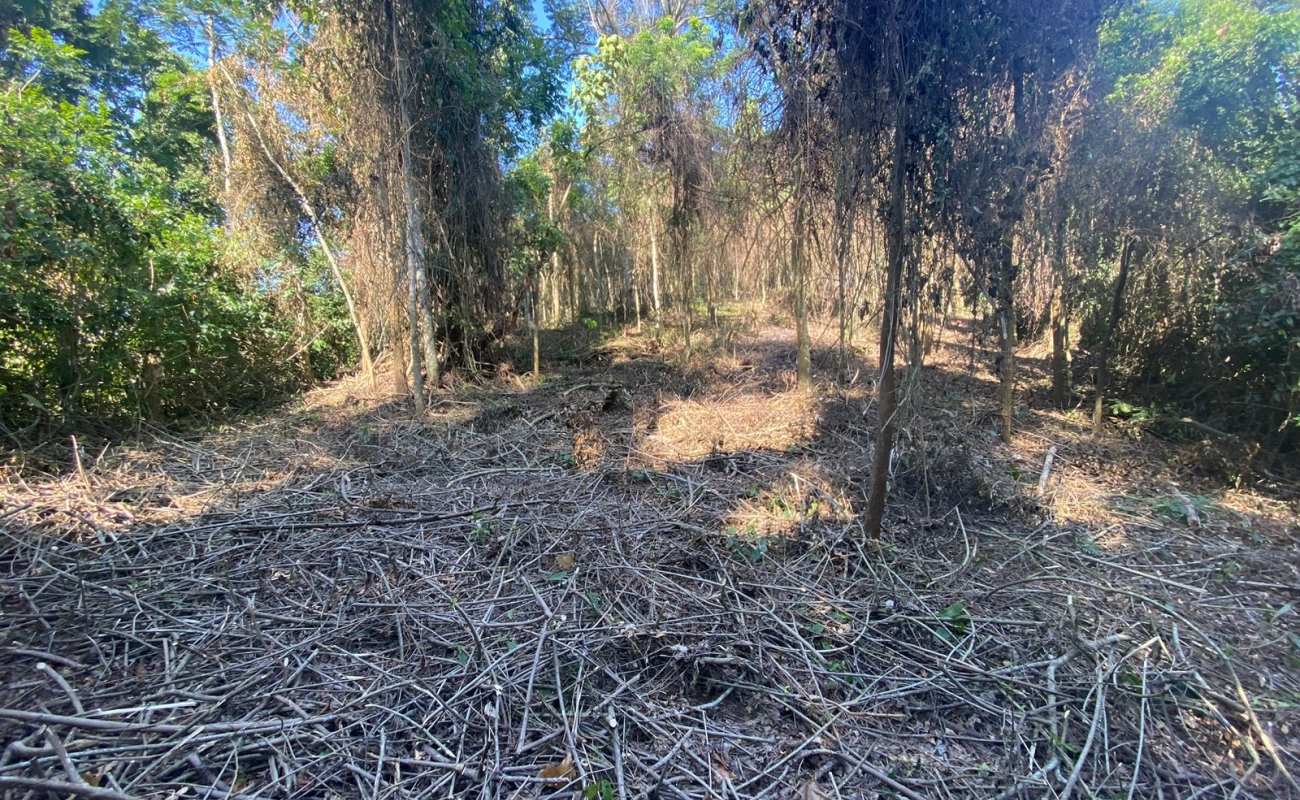 VENDO ESTE TERRENO EM MENDES - 
