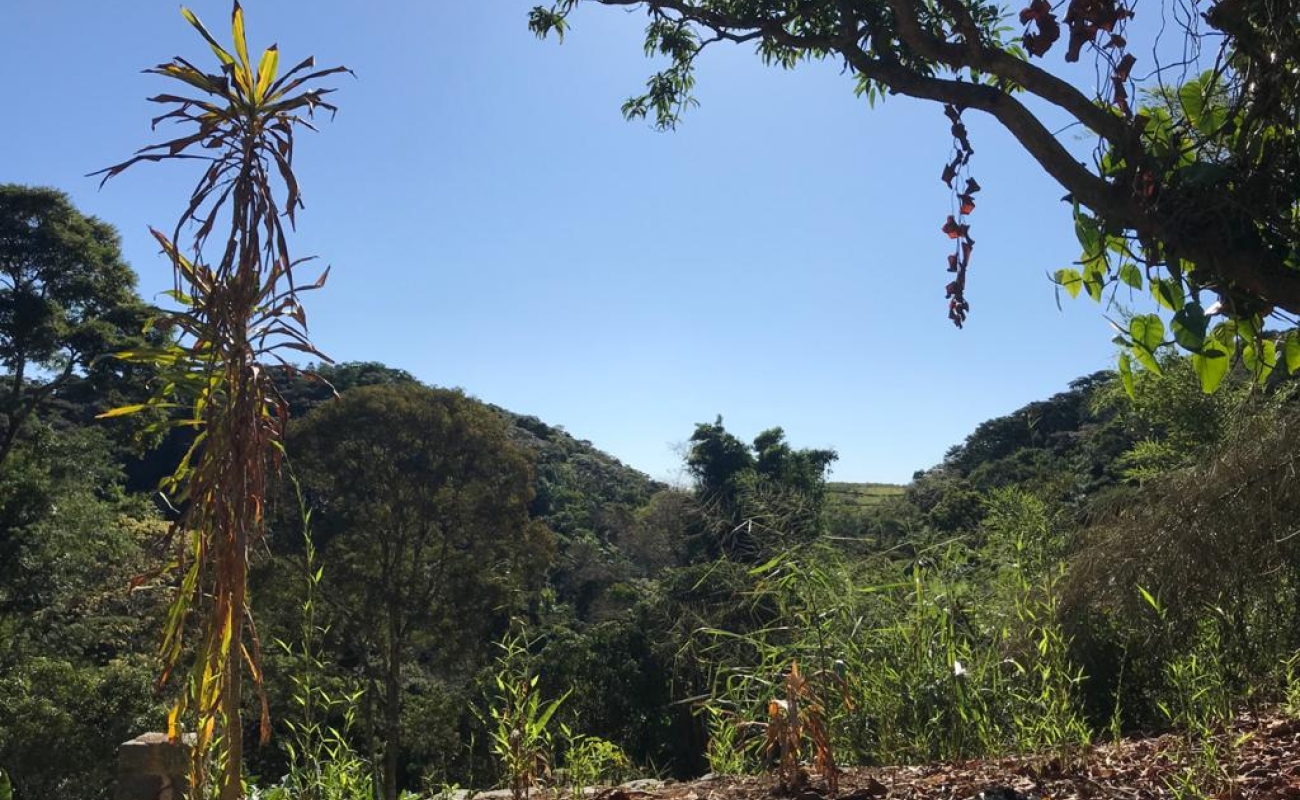VENDO ESTE TERRENO EM 5 LAGOS - 