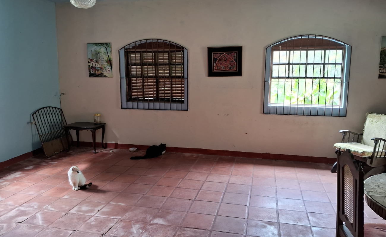 SÍTIO EM 5 LAGOS - 
