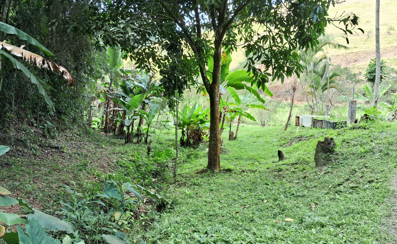 SÍTIO EM 5 LAGOS - 