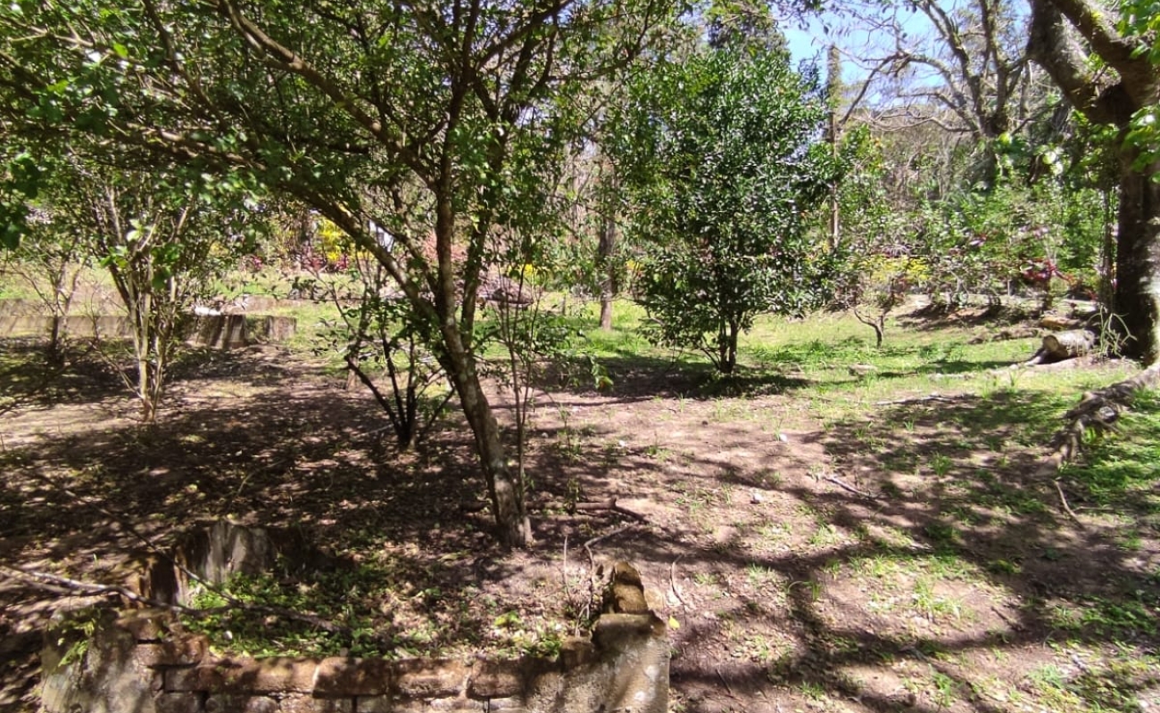 VENDO ESTE LINDO SÍTIO EM MENDES - 