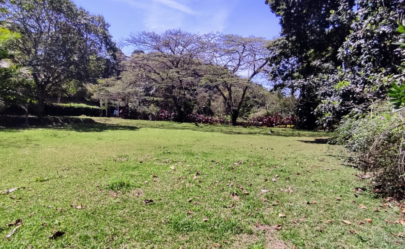 VENDO ESTE LINDO SÍTIO EM MENDES - 