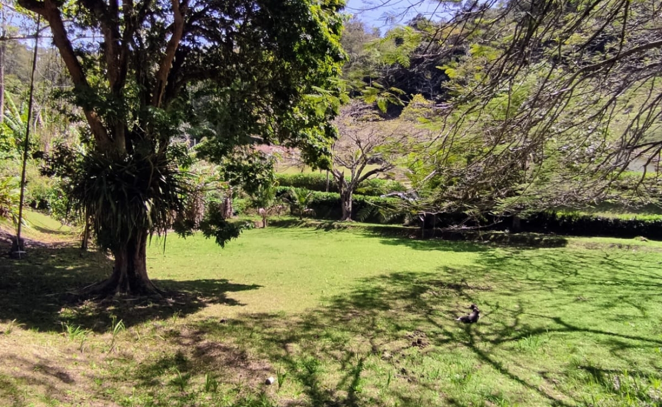 VENDO ESTE LINDO SÍTIO EM MENDES - 